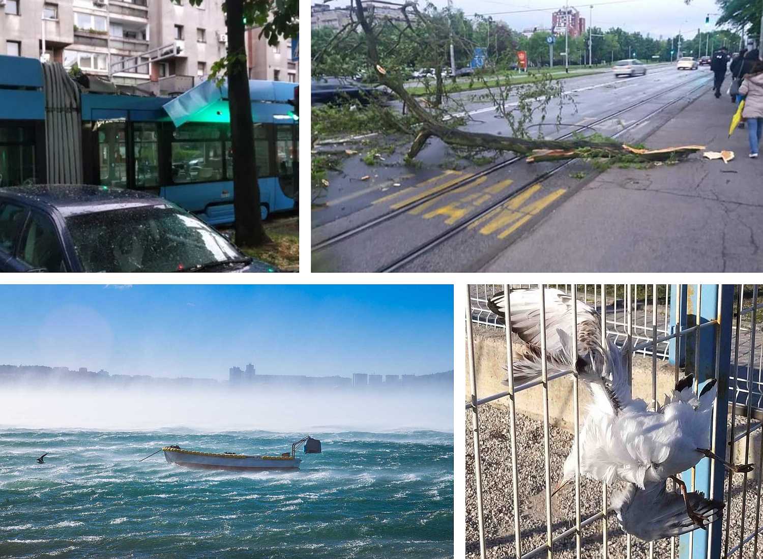 Mogu li se uspoređivati zagrebačkih 70 km/h i splitskih 176 km/h ili makarskih 191 km/h iz veljače ove godine?