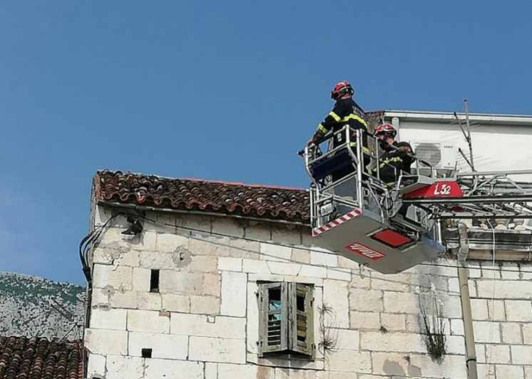 Makarski vatrogasci spasili goluba zapetljanog u žice