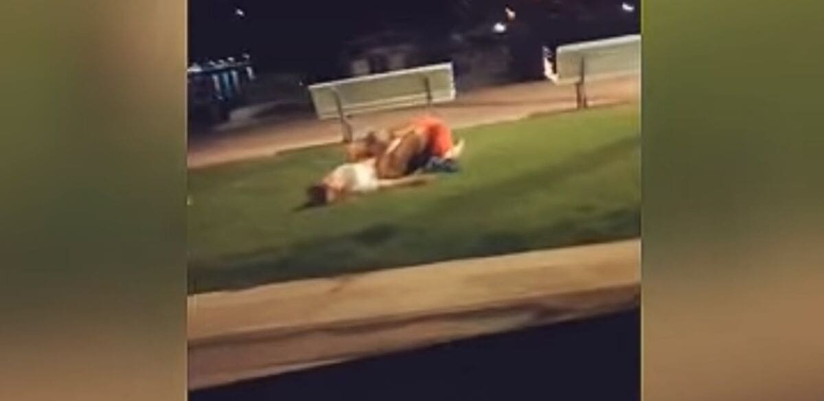 BEZ IMALO SRAMA Par se nasred makarske rive prepustio strastima