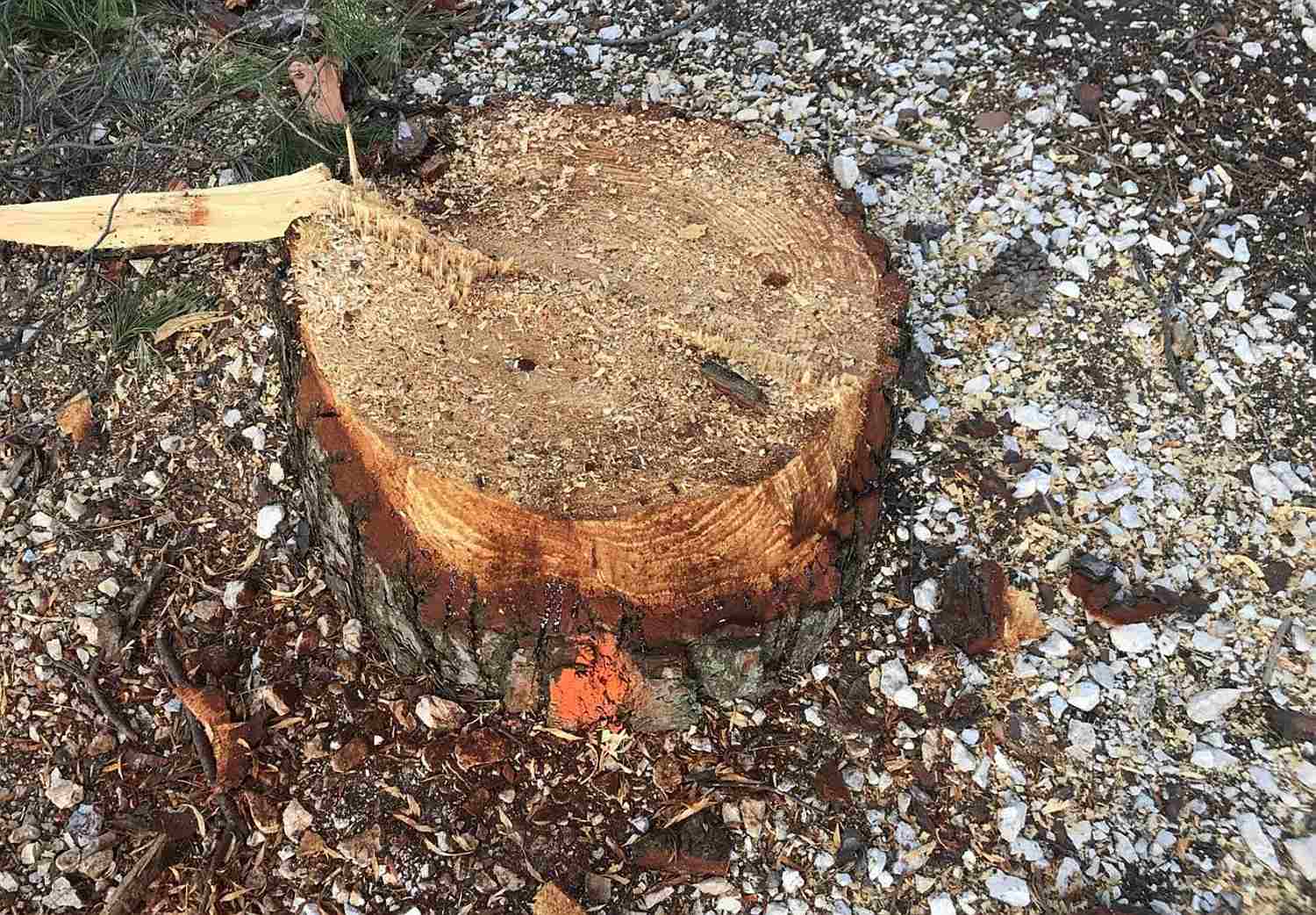 Profesor Smodlaka sasuo salvu kritika oko načina sanacije Marjana: "Može vas biti sram"