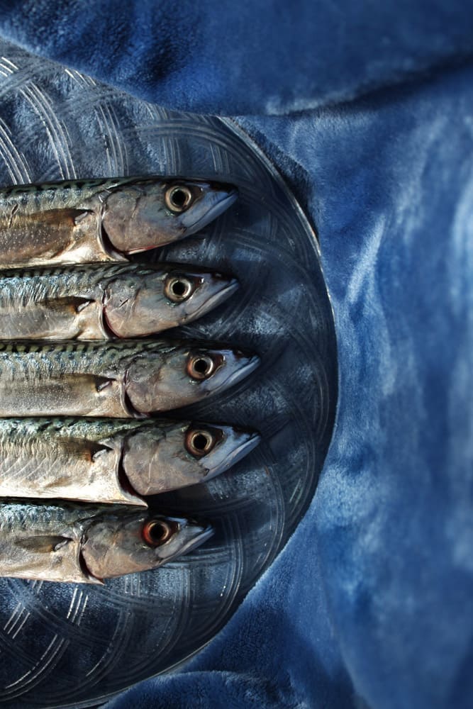 slu_maturanti_Danica_Katunaric_01