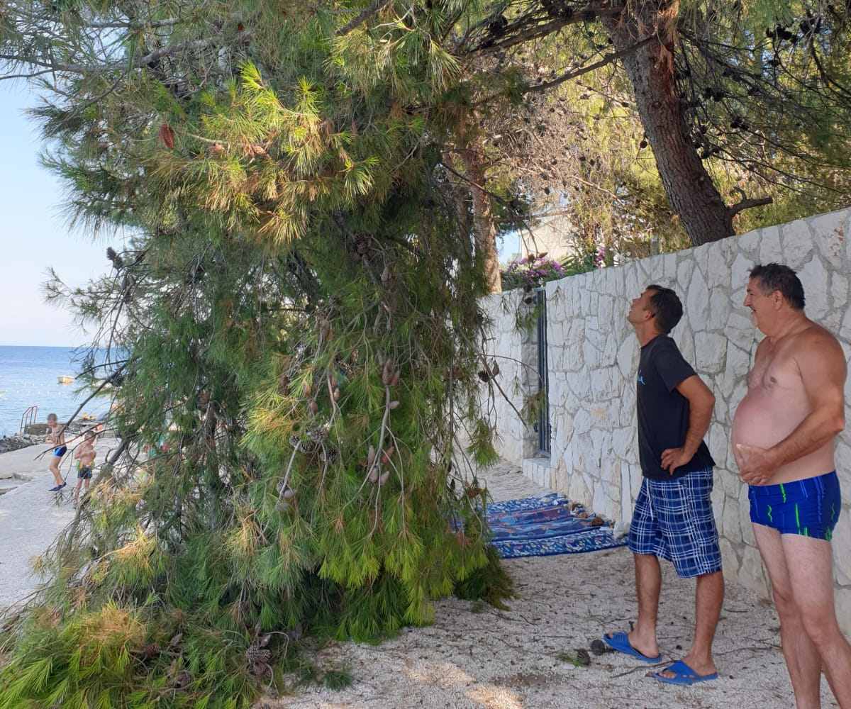 Pao bor na plažu na Čiovu