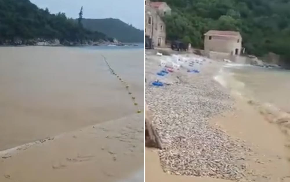 TERORIZAM PROTIV PRIRODE Turisti zgroženi: "Kako Hrvatska ovo dozvoljava?"