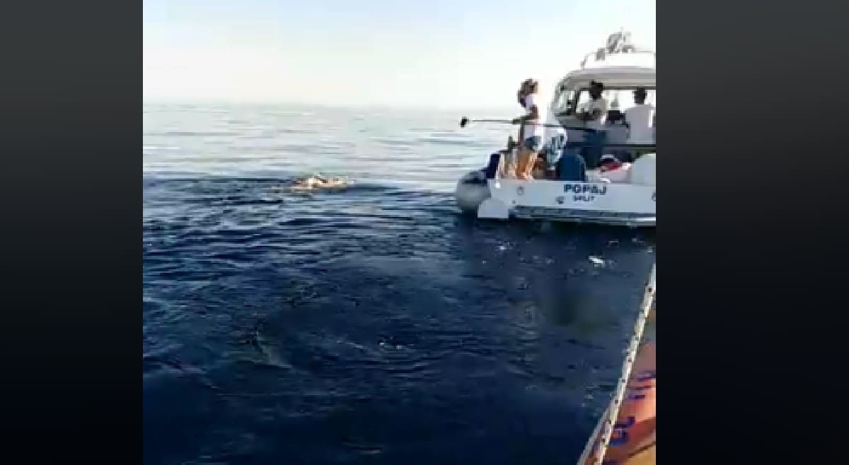 DINA PLIVA PREMA SPLITU Na Rivi se očekuje iza 18 sati