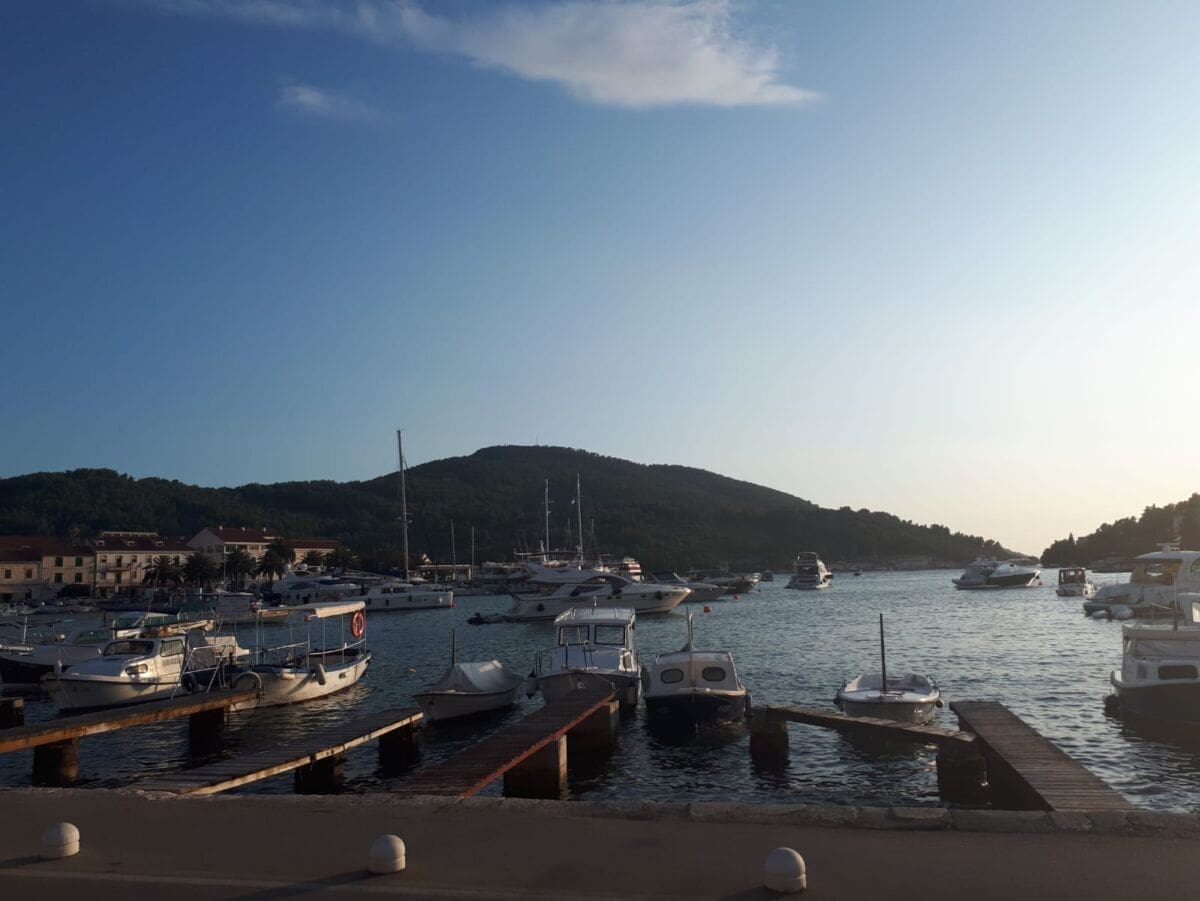 'PADAJU' OTOCI Prvi slučaj zaraze koronavirusom na području Vele Luke