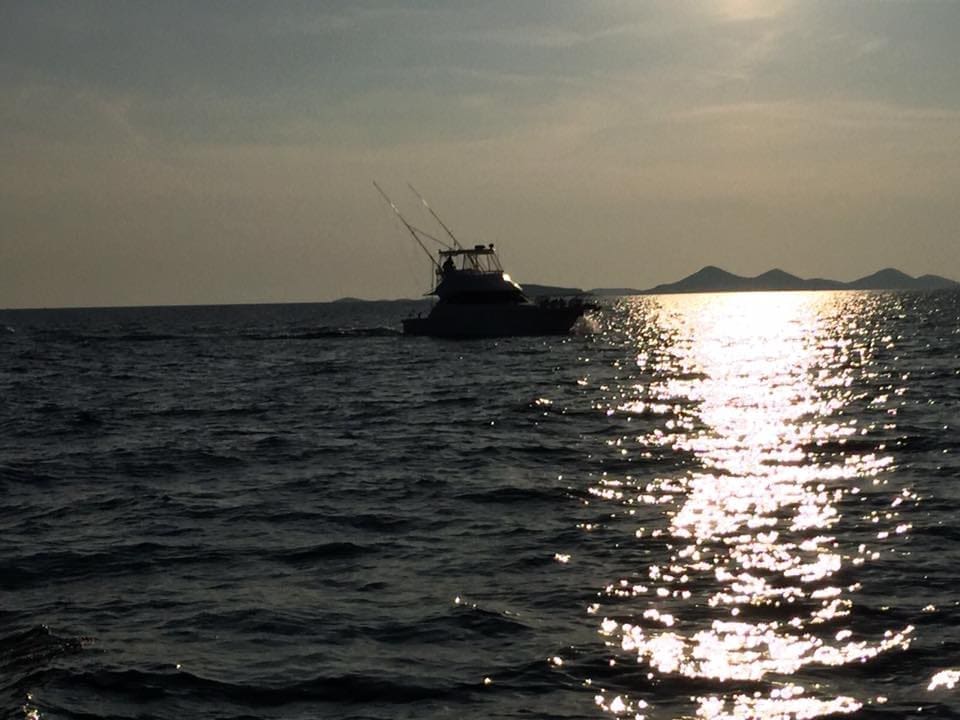 tuna_fever_rogoznica(1)