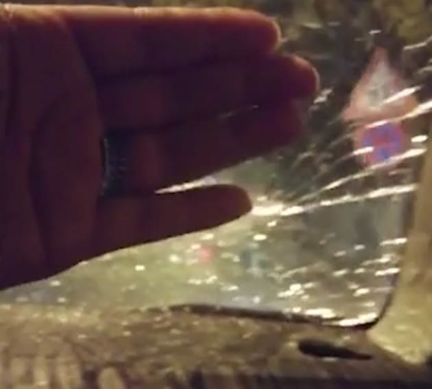 Strašan video iz Zadra: Stablo palo na automobil u kojem se nalazila obitelj, čuje se plač djece