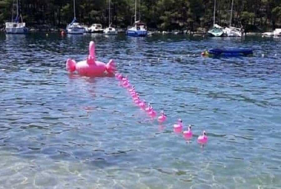 IMA LI DALJE? Pogledajte novi biser koji je fotografiran na hrvatskoj obali