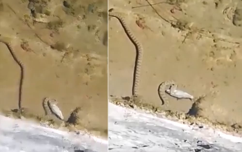 PRIZOR OD KOJEG ĆE VAS PROĆI JEZA Možete li vjerovati da je ovaj video snimljen u Splitu?