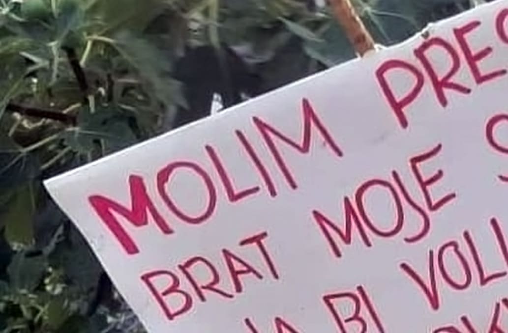 Dalmatinac na urnebesan način poslao upozorenje prolaznicima pa postao hit