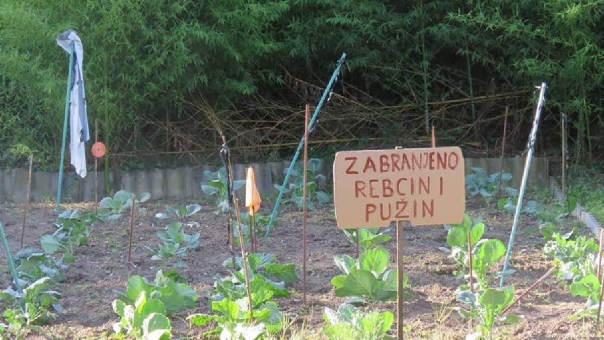 GASI INTERNET Zavirite u dalmatinski vrt, objava je pobrala "more" lajkova