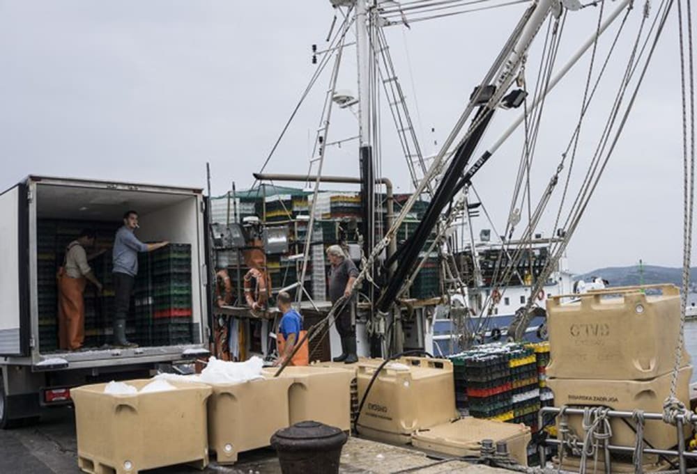 Započela registracija prvih kupaca na Portalu gospodarskog ribarstva