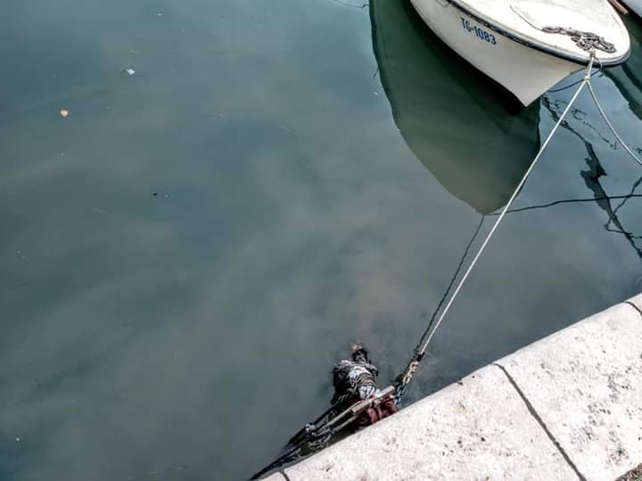 ISKORISTIO NEVRIJEME Novi slučaj izlijevanja fekalija u more