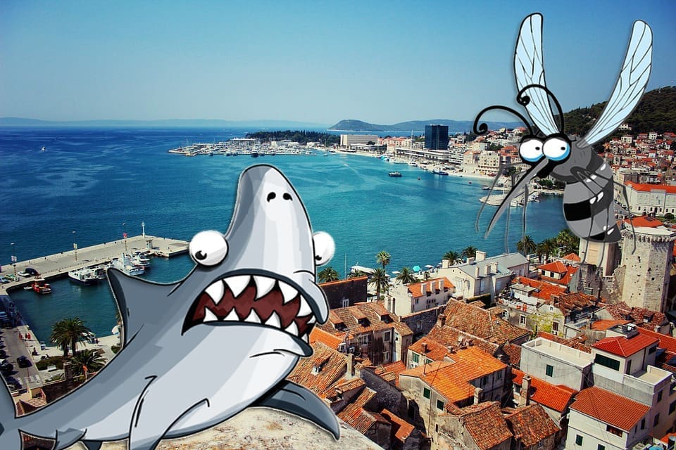 LOŠ ODJEK U STRANIM MEDIJIMA "Senzacionalizam oko Mokyja, komaraca i incidenata rade štetu turizmu"