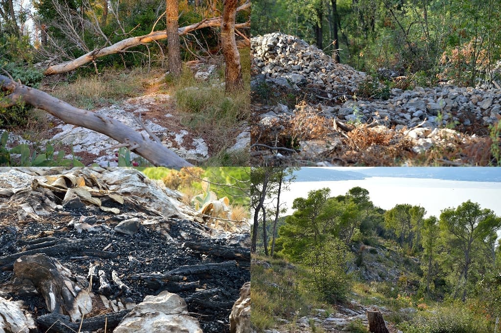 PANJ-ŠUMA MARJAN Srušeni suhozidi, zgarišta, polomljena stabla i razbacane grane