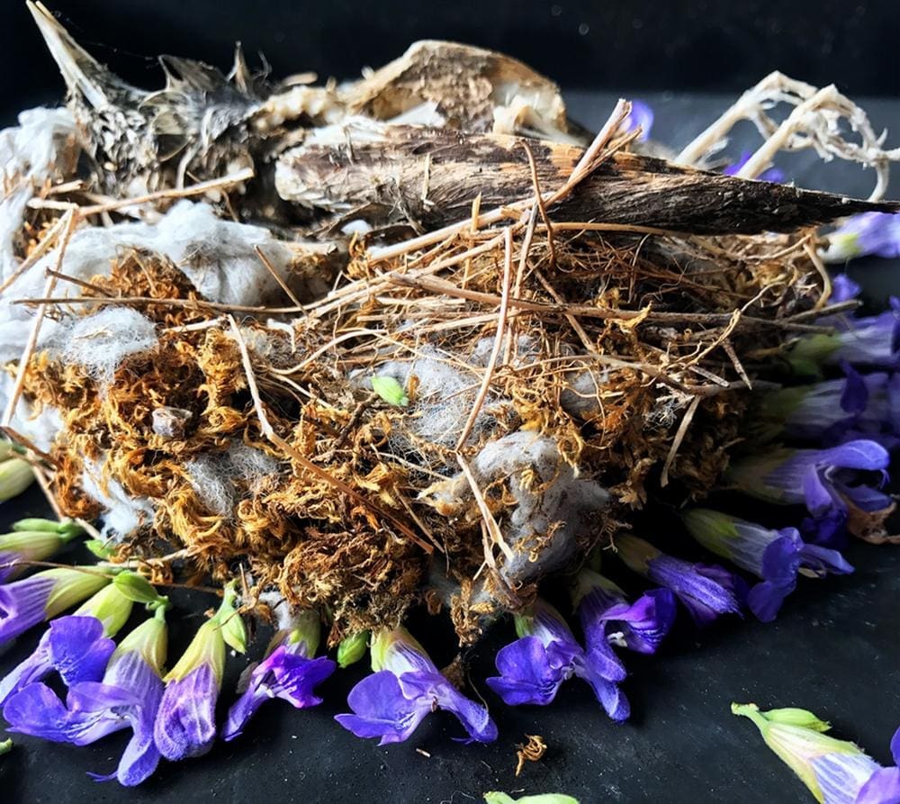 Otvaranje izložbe 'Prah si i u prah ćeš se pretvoriti'