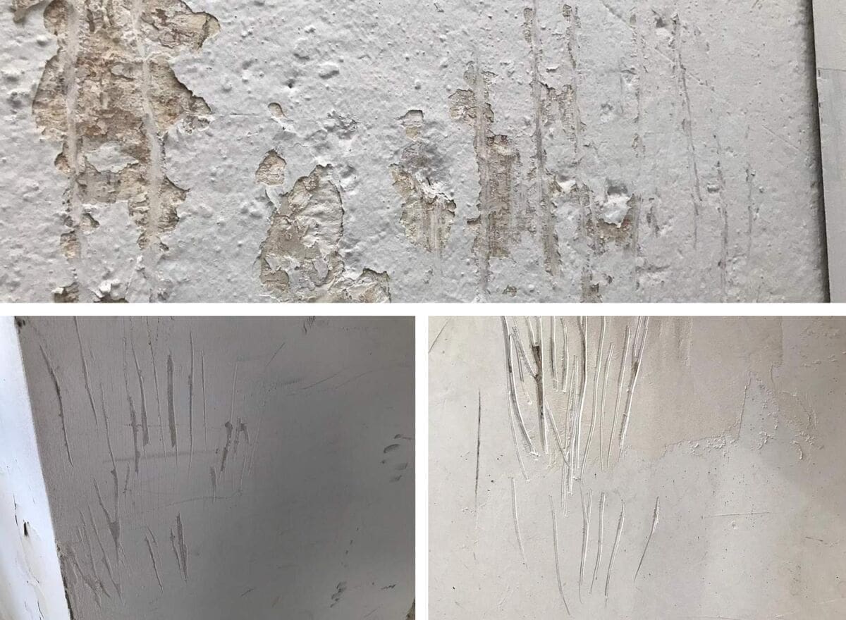 ČUDNI TRAGOVI NA ZIDOVIMA Stanari stare gradske jezgre izluđuju zbog friževa koje pojedinci rade u sumnjive svrhe