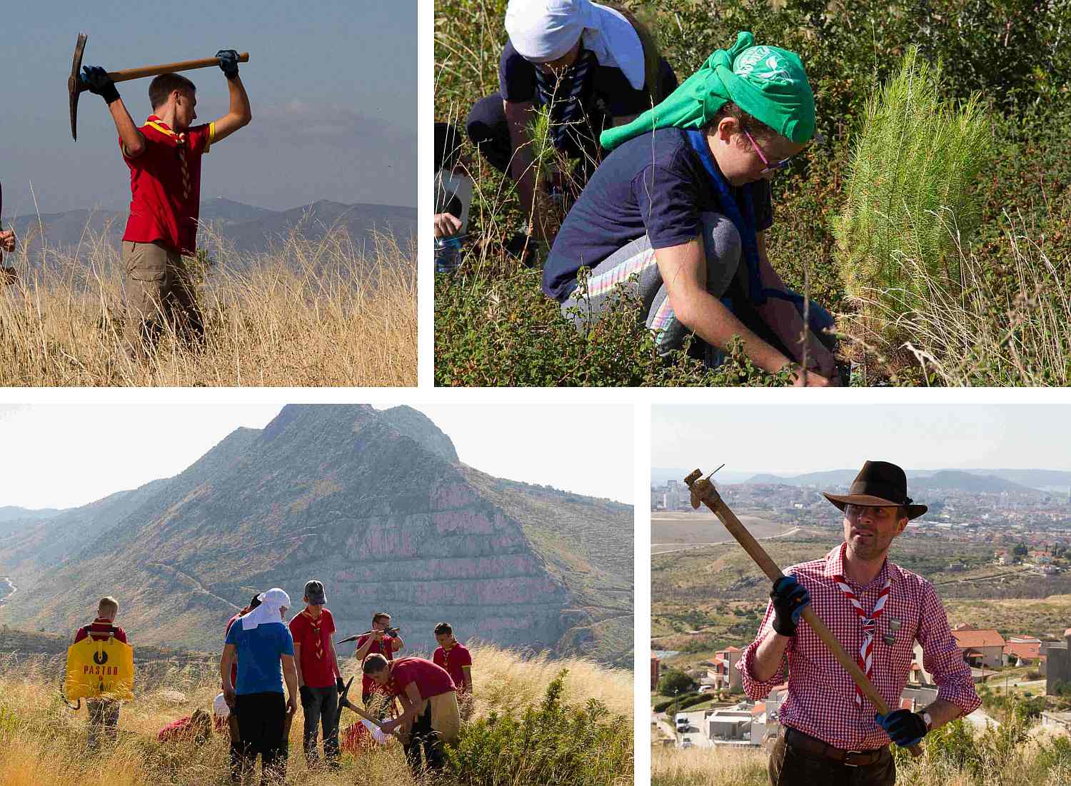 Više od tisuću volontera kampanje Boranka za vikend će pošumljavati požarište na Mosoru