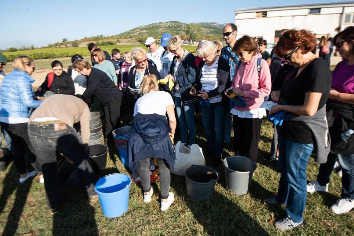 dalmacijavino..jematva01