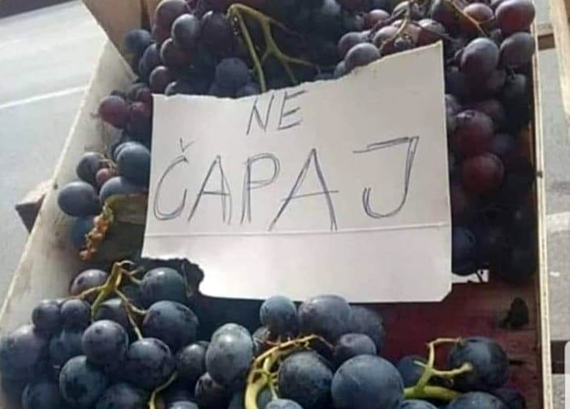 UPOZORIO KUPCE, PA POSTAO HIT Dalmatinac stavio natpis pored grožđa, uslijedili komentari: "Usisavaju k'o usisavači"