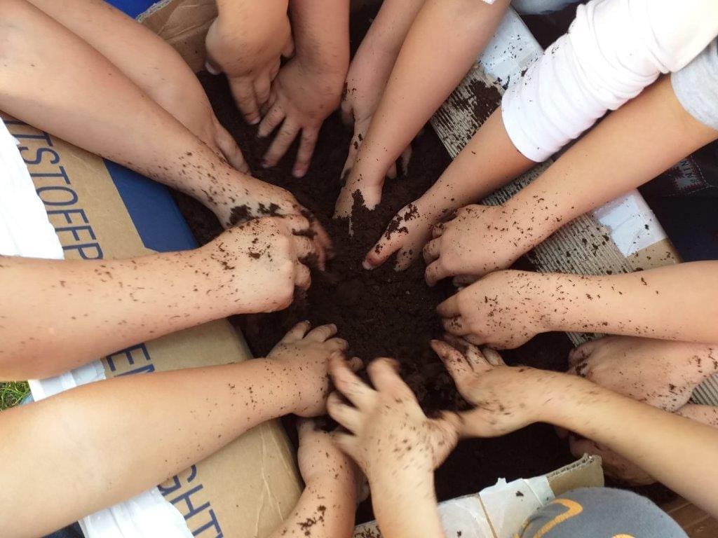 hrvatske-sume-djeca-sadnice(1)