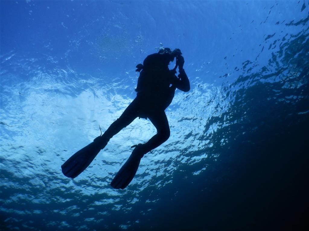 Udruga PowerProgressiveArt na Mljetu provela pilot projekt "Emerald, blue, silver and gold"