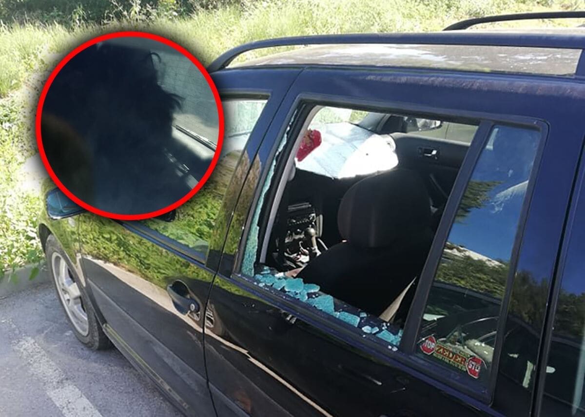 Pas kod Dubrovnika ostavljen u autu na suncu, ljudi razbili prozor da ga spase