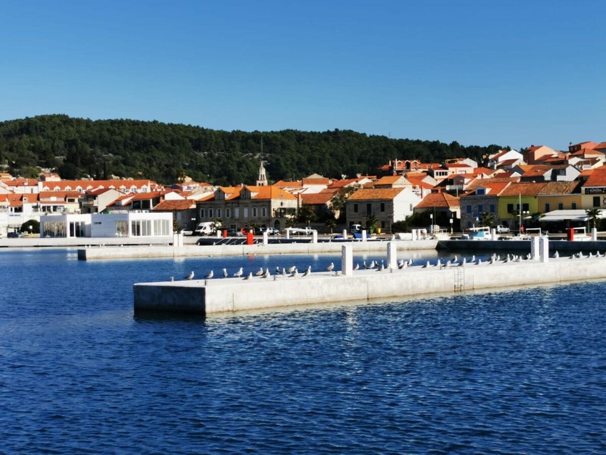 segon_vela_luka_marina(1)