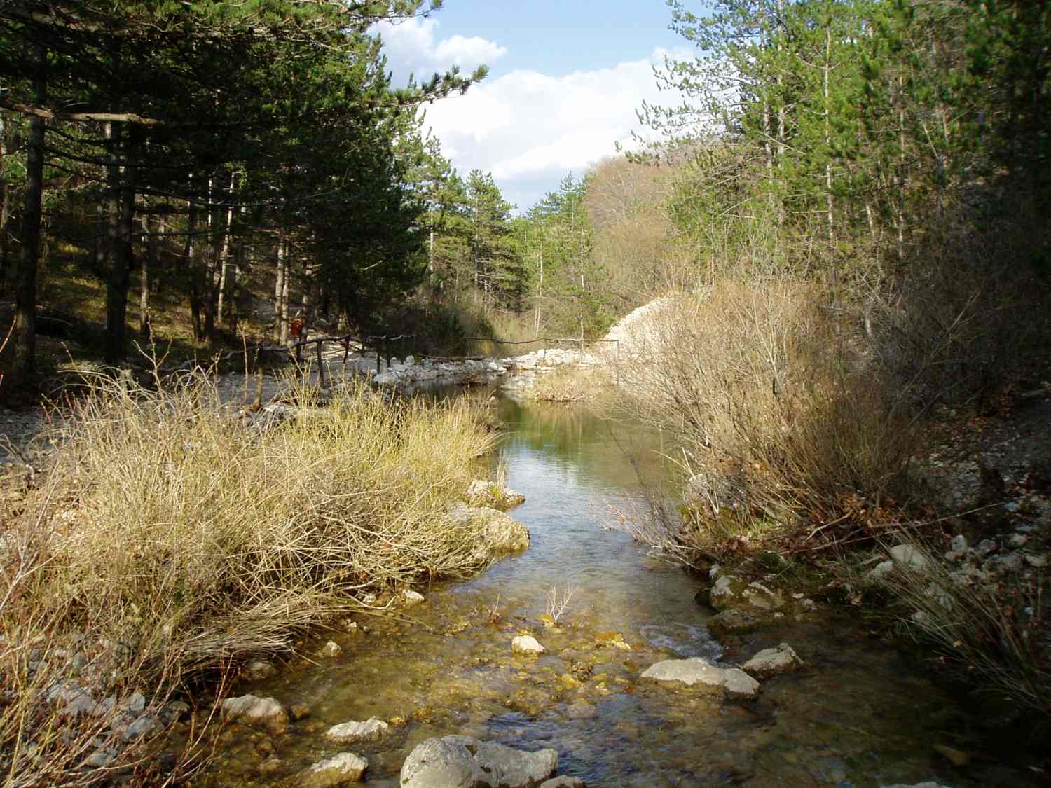 ZASADI DRVO, NE BUDI PANJ Akcija čišćenja i pošumljavanja značajnog krajobraza Sutina