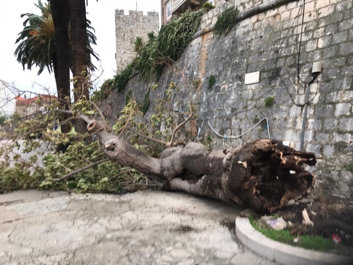 WhatsApp Image 2019-11-12 at 13.49.12