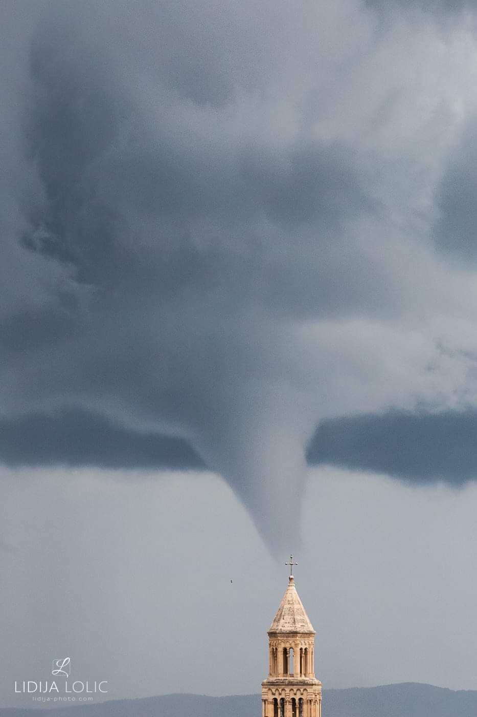 pijavica_split_lidija(1)