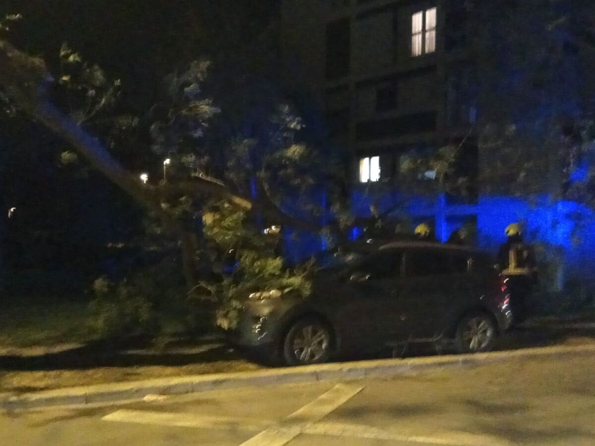 Vatrogasci na terenu: Orkansko jugo na Skalicama bacilo stablo na automobil