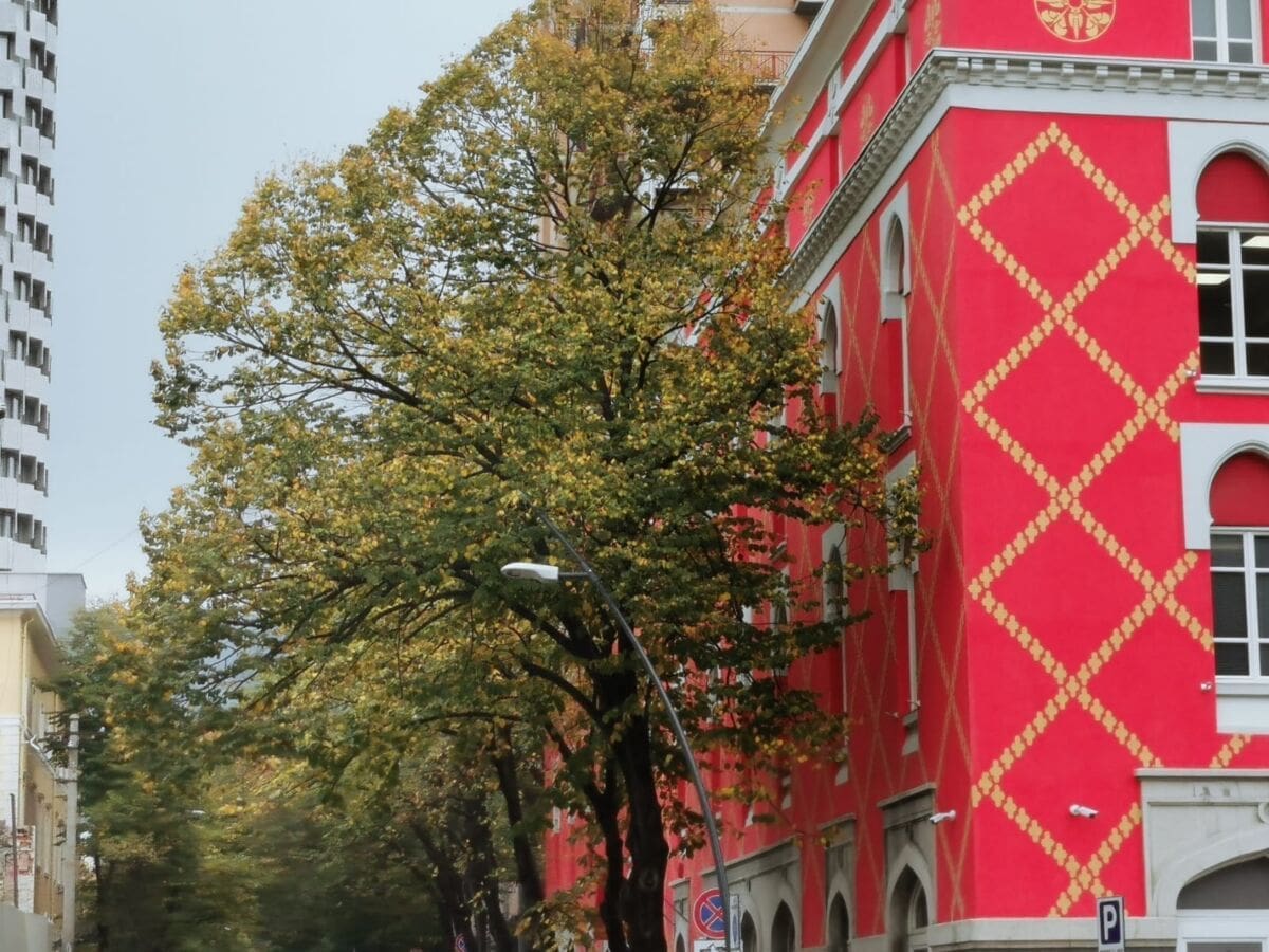 tirana_park_stabla_opara(1)