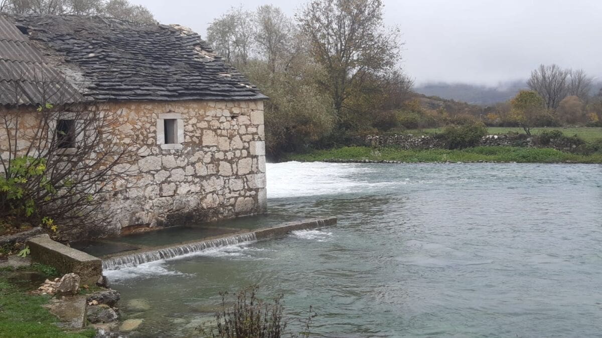 PROBLEMI S VODOSTAJIMA TEK DOLAZE Cetina se u Vinaliću izlila iz korita i poplavila Vrličko polje