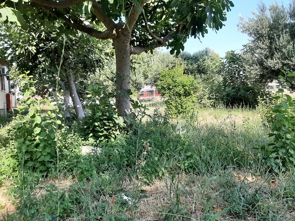 Akcija čišćenja u Kopilici: Vrijeme je da zanemareni dijelovi Splita ožive