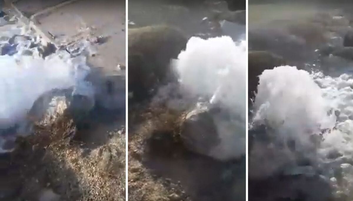 PRORADIO MARJANSKI "GEJZIR" Pogledajte zanimljiv prizor s Prve vode