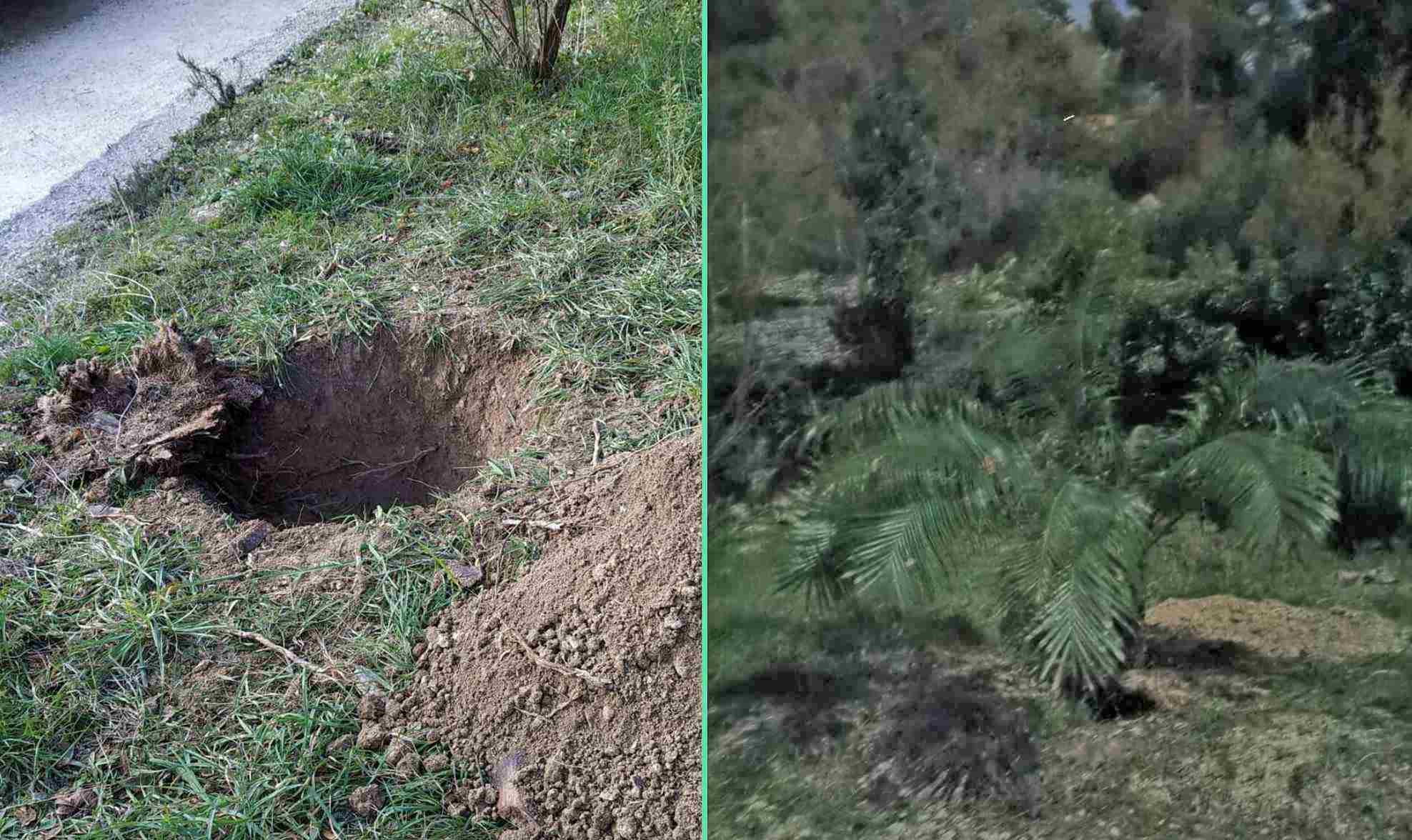 Dnevna doza: "Građani, sadnice u ruke i na Marjan. Ako može Ruščić koji po struci nije šumar, možemo i mi"