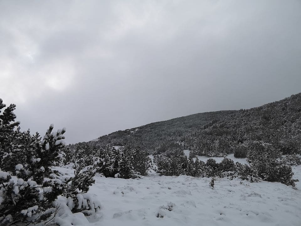 adriatica_tatjana_dinara01