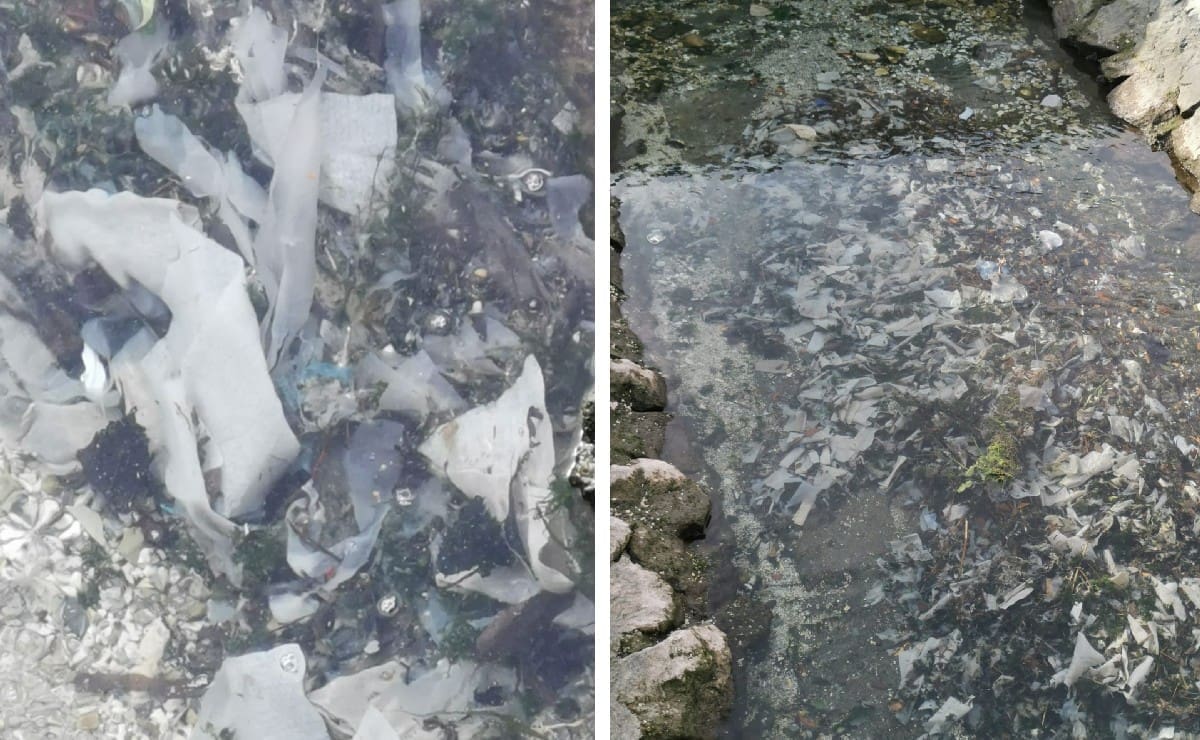 OTUŽNI PRIZORI Pogledajte kako izgleda potok na Trsteniku, svega tu ima