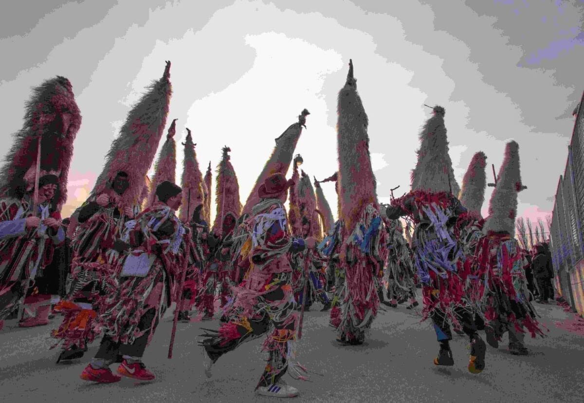 mackare_zeljko_zrncic(1)