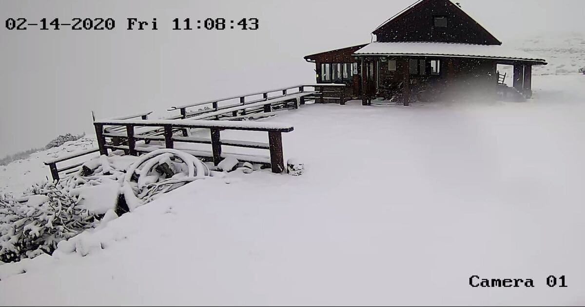 SNIJEG "TRPA" NA DINARI Od jutros ga, uz temperaturu ispod nule, palo desetak centimetara