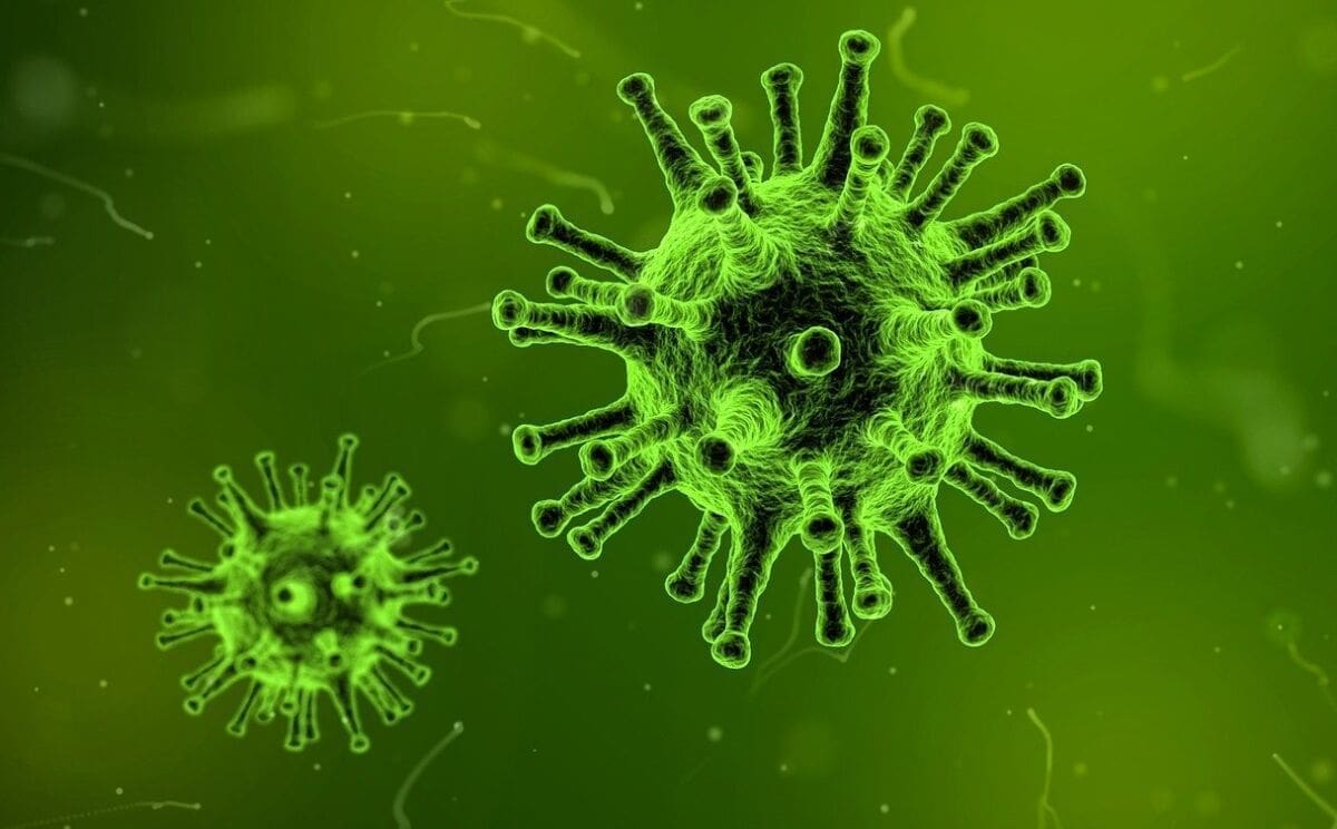 WHO proglasio globalnu pandemiju koronavirusa