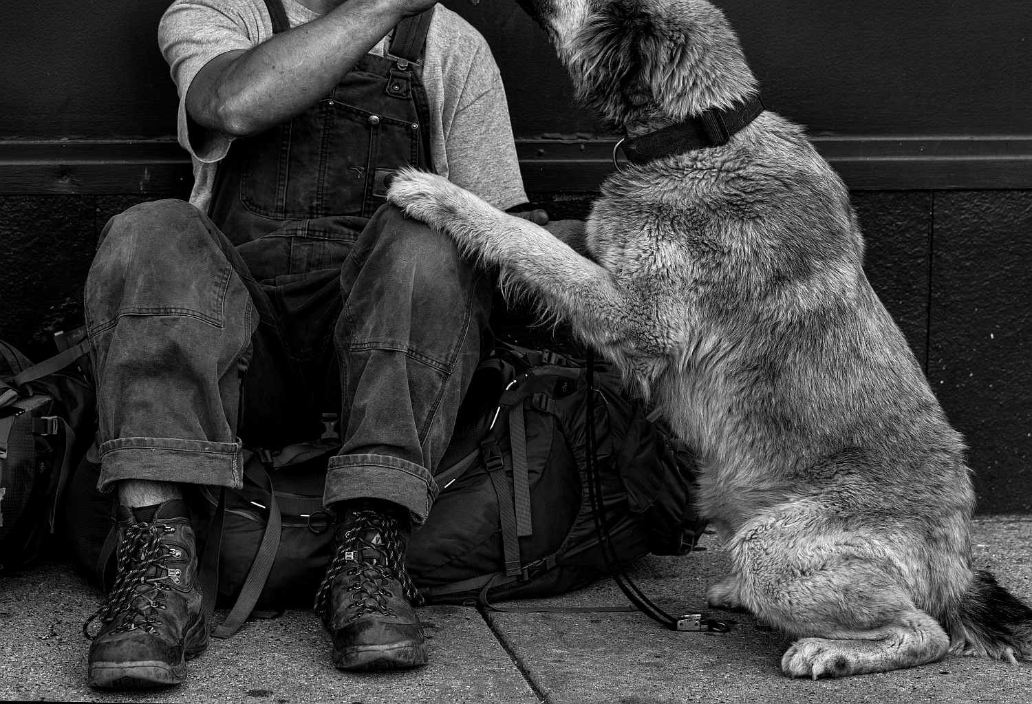 Doktor Kalilić iz Splita: "Ovo su moja iskustva s beskućnicima s Turske kule"