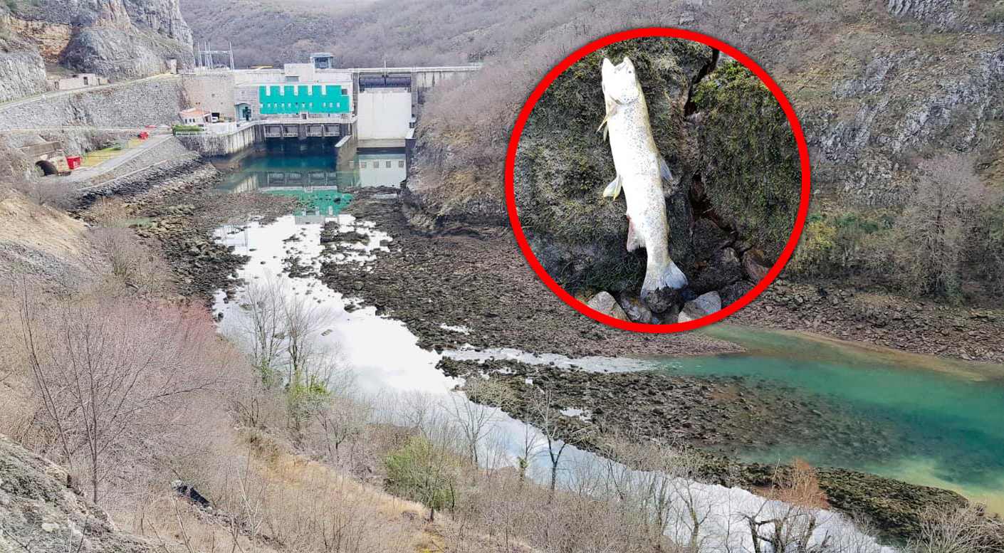 PRONAĐEN GEOSMIN U VODI OMIŠKOG VODOVODA Dodatno se vodopskrbni sustav čisti i ispiru filter polja