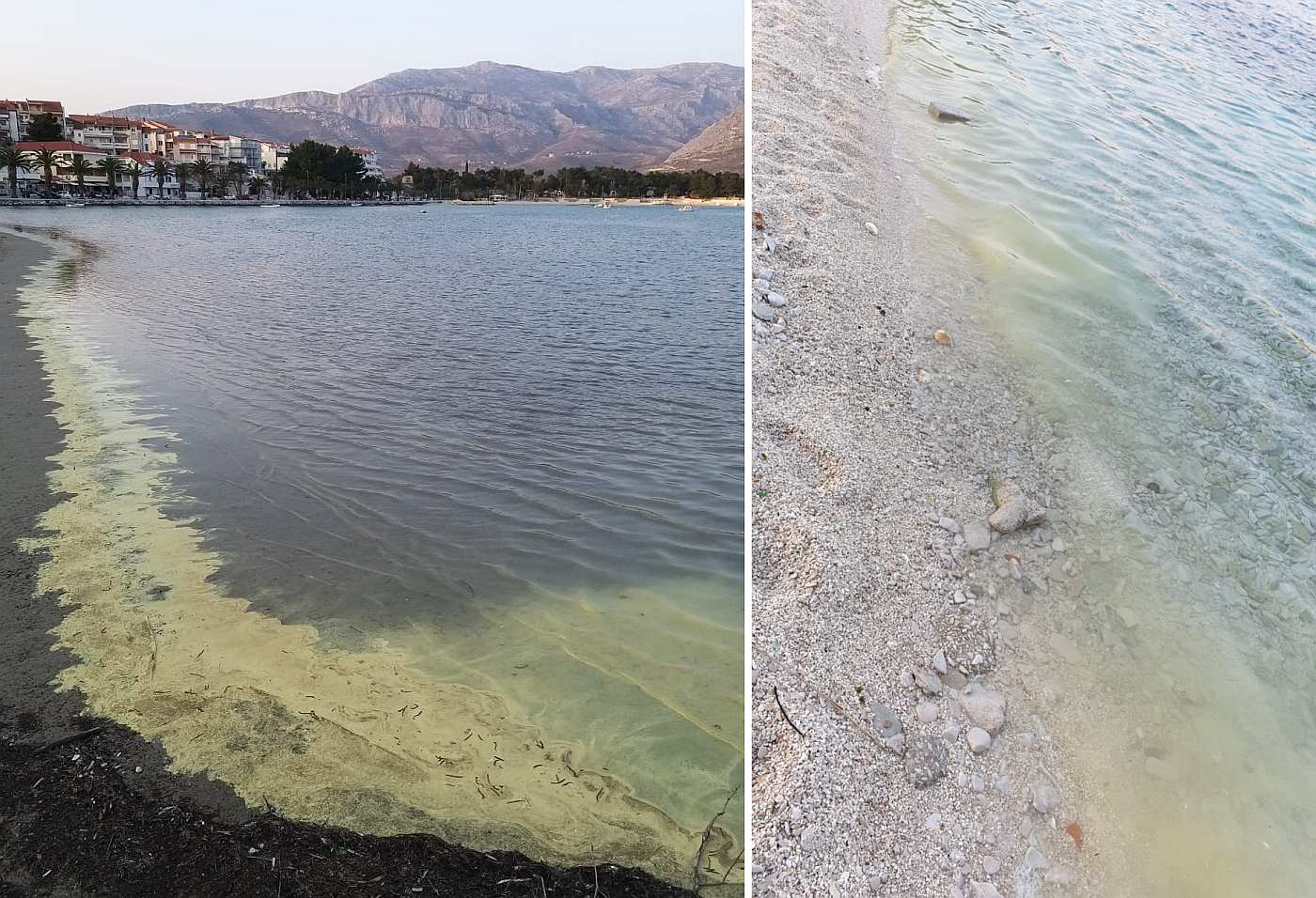 More je na nekim splitskim plažama i u okolici grada žute boje. Evo o čemu se radi