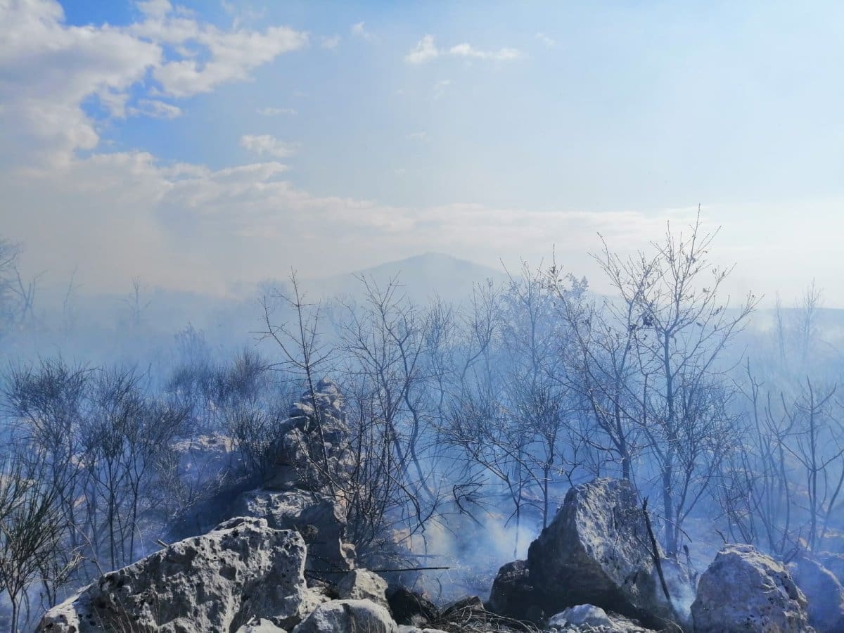Lokaliziran požar na šibenskom području, radi se na saniranju