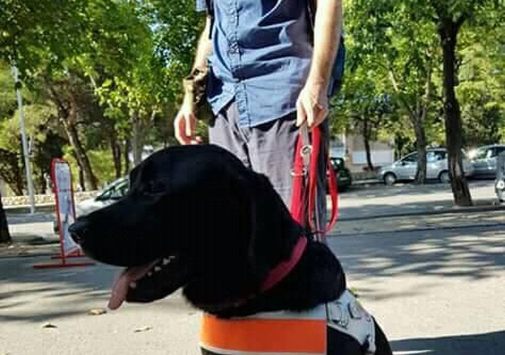 "ZAJEDNO SMO JAČI OD KORONE" Apelu se pridružila i Županijska udruga slijepih Split