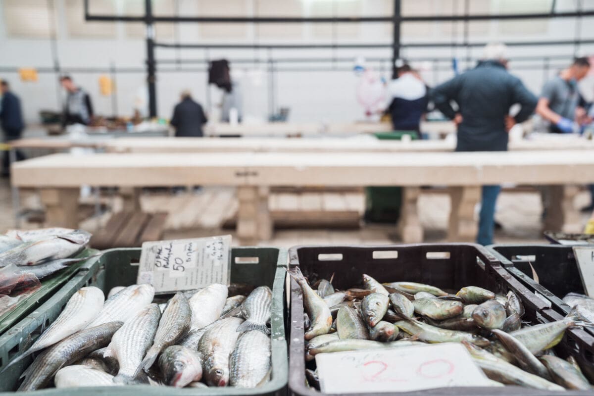 4-18_pazar_peskarija-1