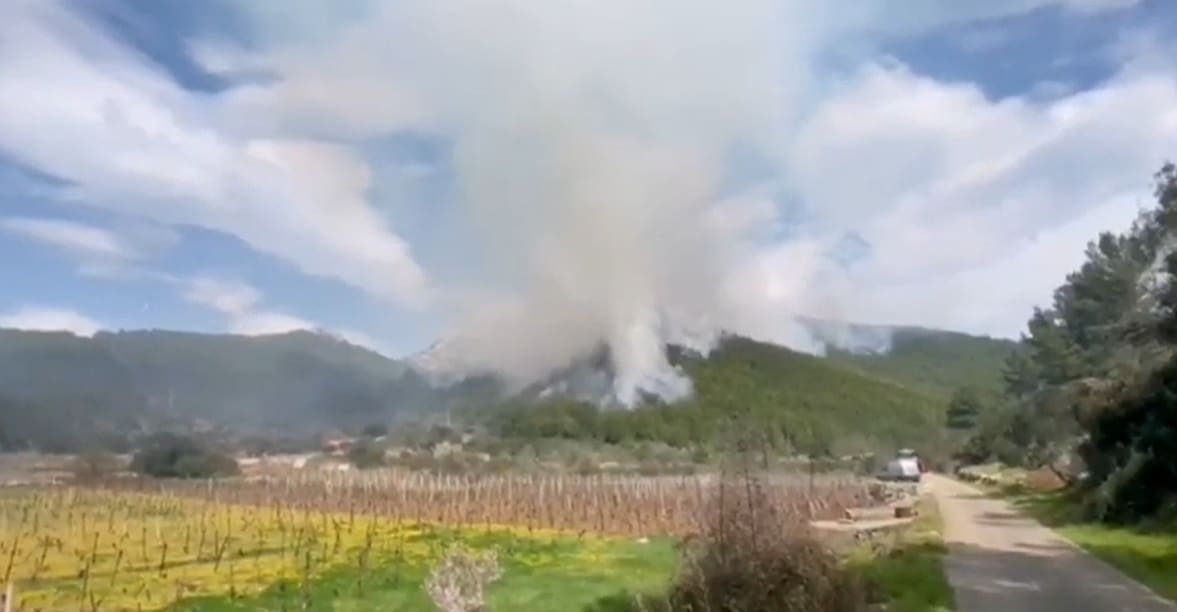 LOKALIZIRAN POŽAR NA BRAČU Plamen se s objekta proširio na borovu šumu, širila ga bura