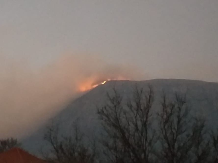 dinara-pozar-jezevici4